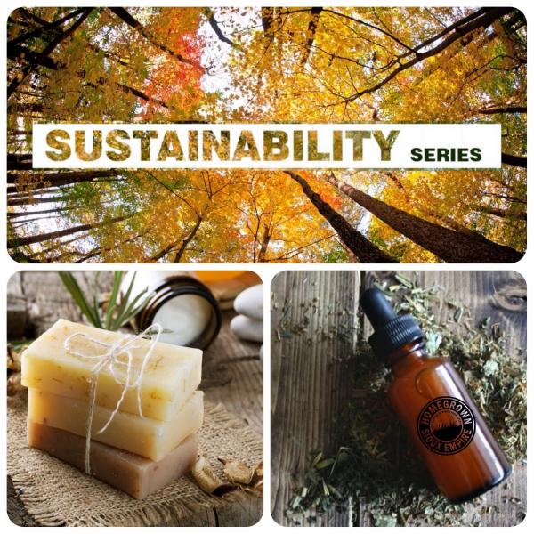 Image for event: Sustainability Series
